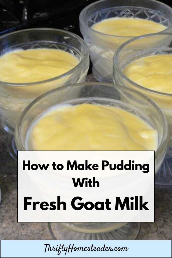 goat milk pudding  pin