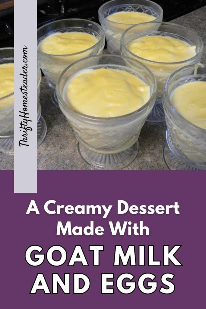 goat milk pudding pin