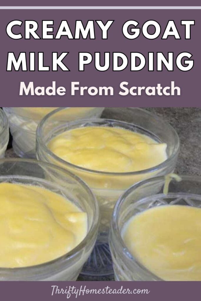 goat milk pudding
