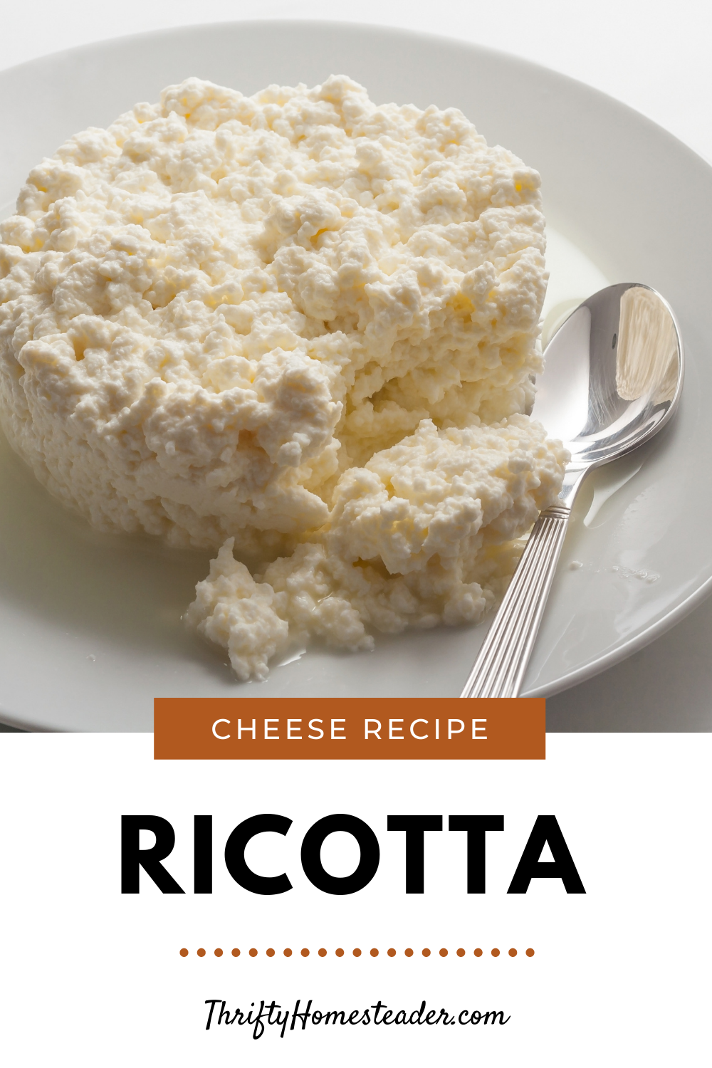 Cheese Recipe Ricotta