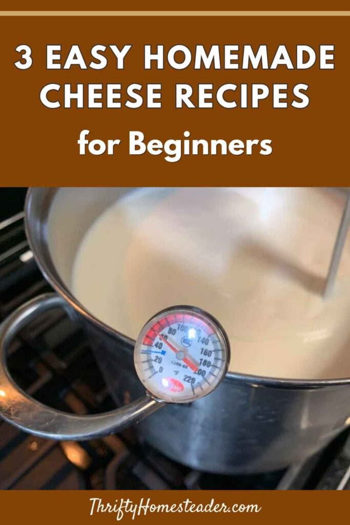 3 Easy Homemade Cheese Recipes for Beginners
