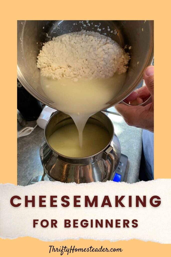 Cheesemaking for beginners