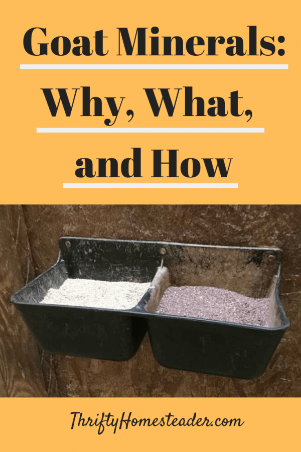 Goat Minerals Why, What, and How