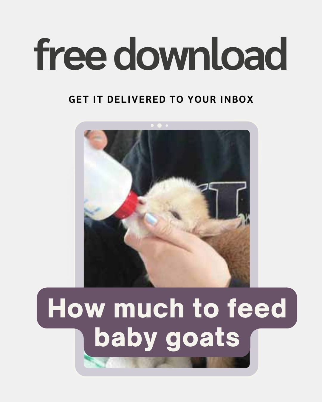 How much to feed baby goats free download