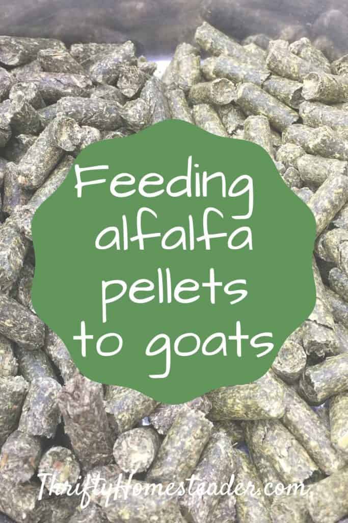alfalfa pellets