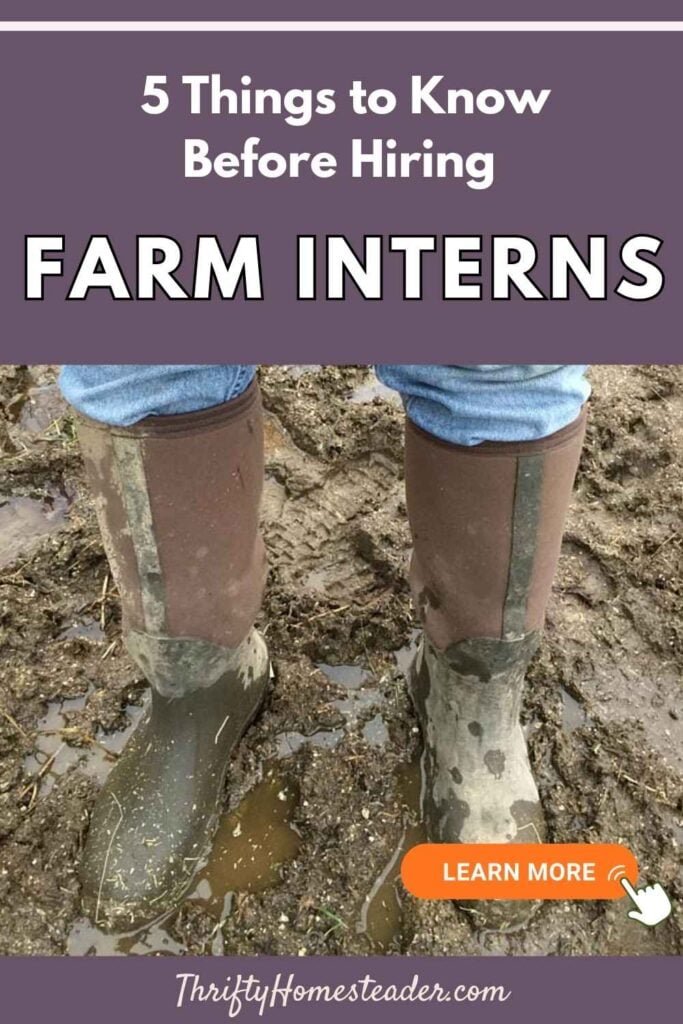 5 Things to Know Before Hiring Farm Interns