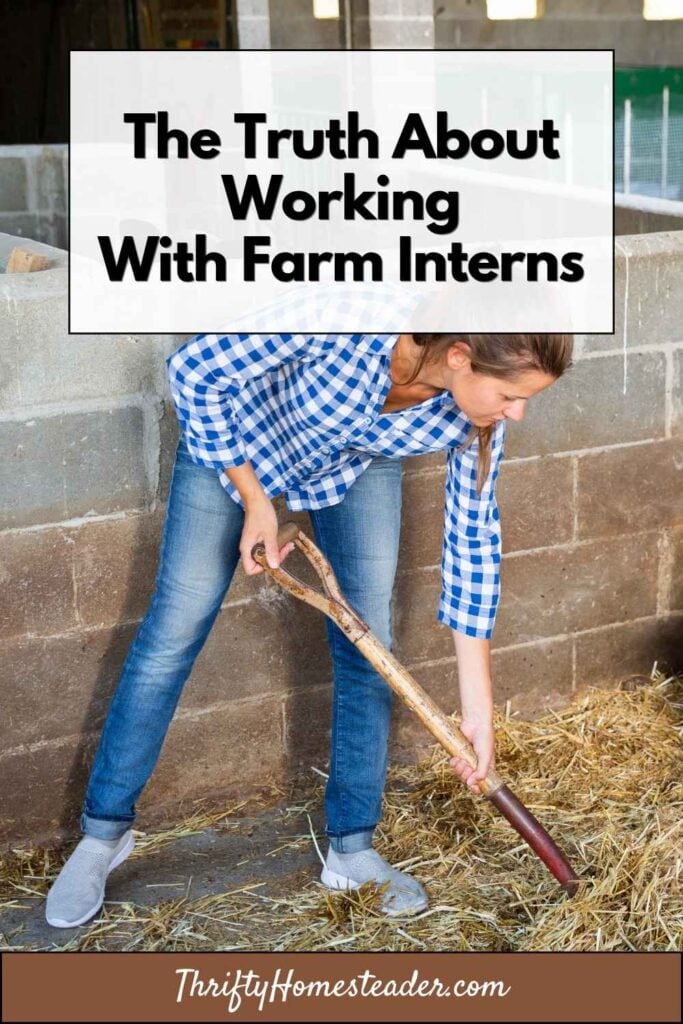 The Truth About Working With Farm Interns