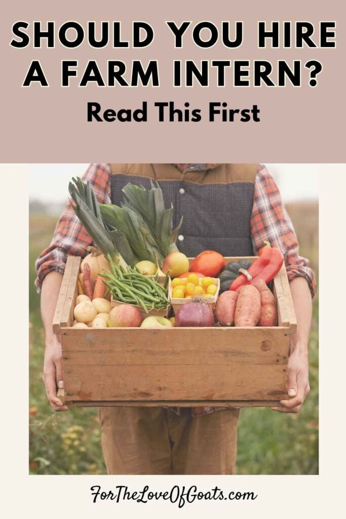 Should You Hire a Farm Intern? Read This First