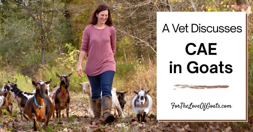 CAE in Goats podcast episode