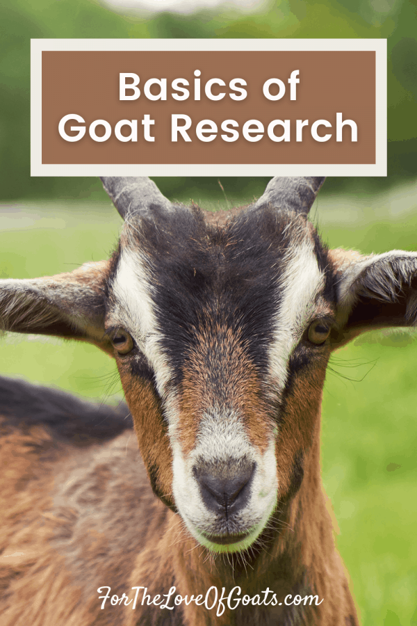 Basics of Goat Research