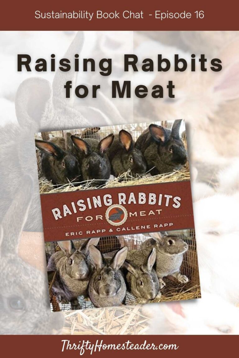 Raising Rabbits for Meat