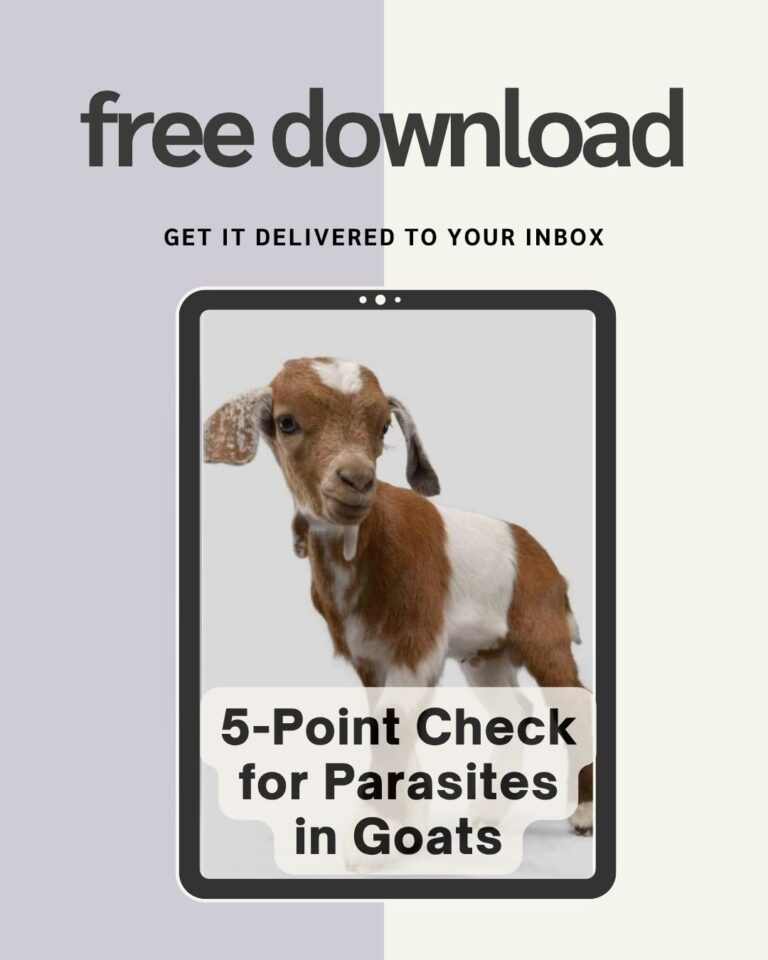 Goat Check In Red Cell for Goats: Study Examines Its Effectiveness