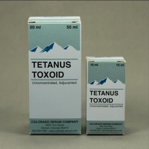 Tetanus in Goats: Transmission, Symptoms, Treatment, and Prognosis