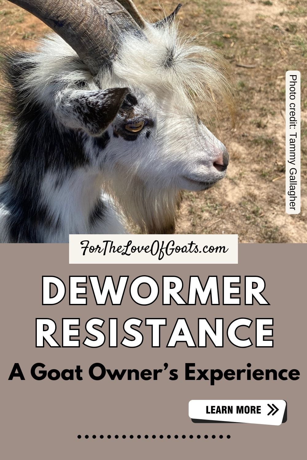Dewormer Resistance A Goat Owner’s Experience