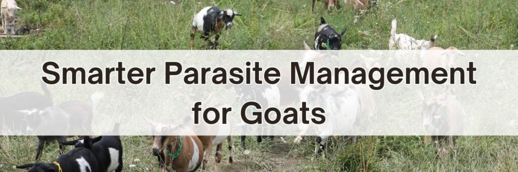 Smarter Parasite Management for Goats