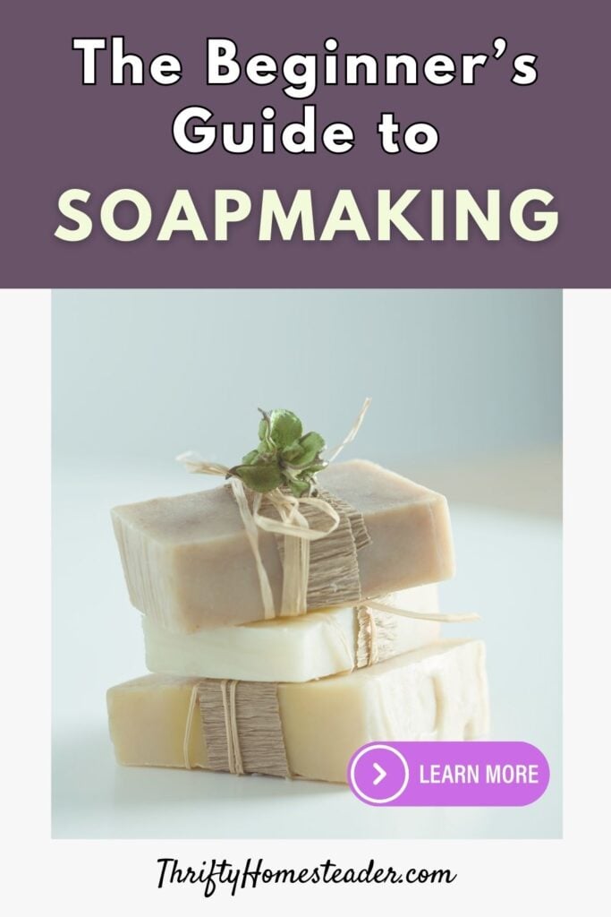 The Beginner's Guide to Soapmaking