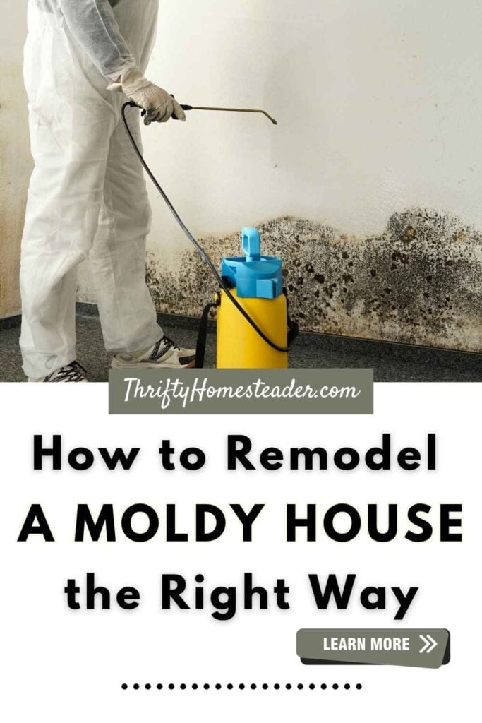 How to Remodel a Moldy House the Right Way