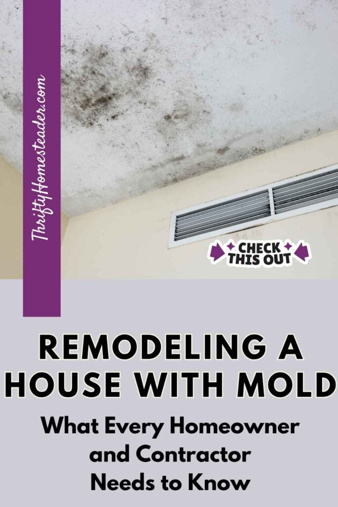 Remodeling a House with Mold
