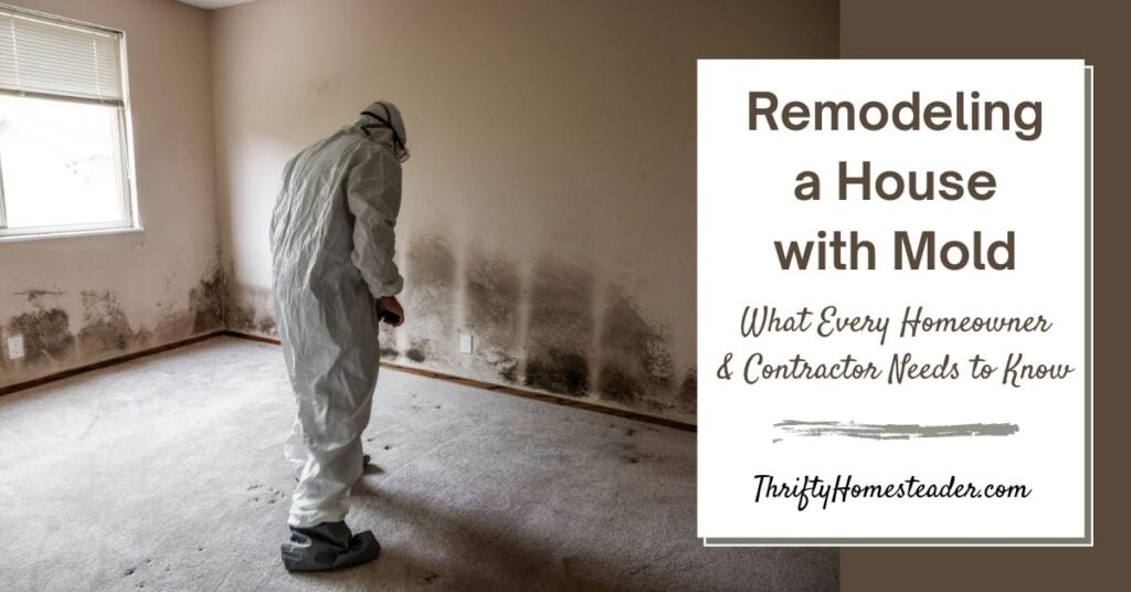 Remodeling a House with Mold What Every Homeowner and Contractor Needs to Know
