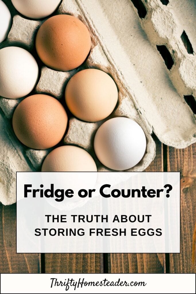 Fridge or Counter_ The Truth About Storing Fresh Eggs