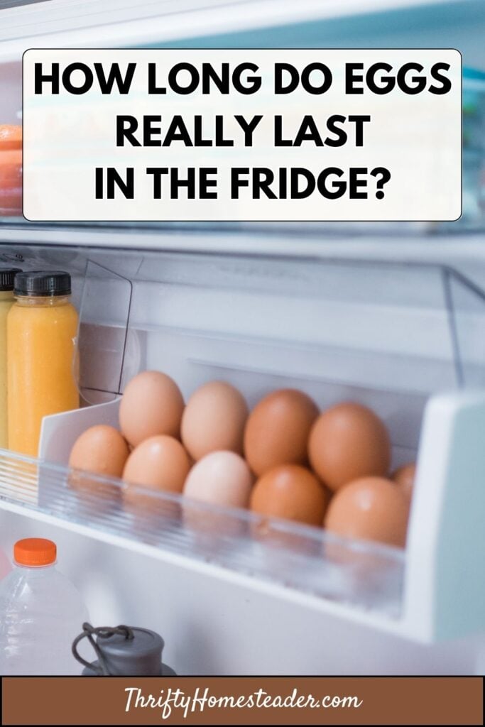 How Long Do Eggs Really Last in the Fridge