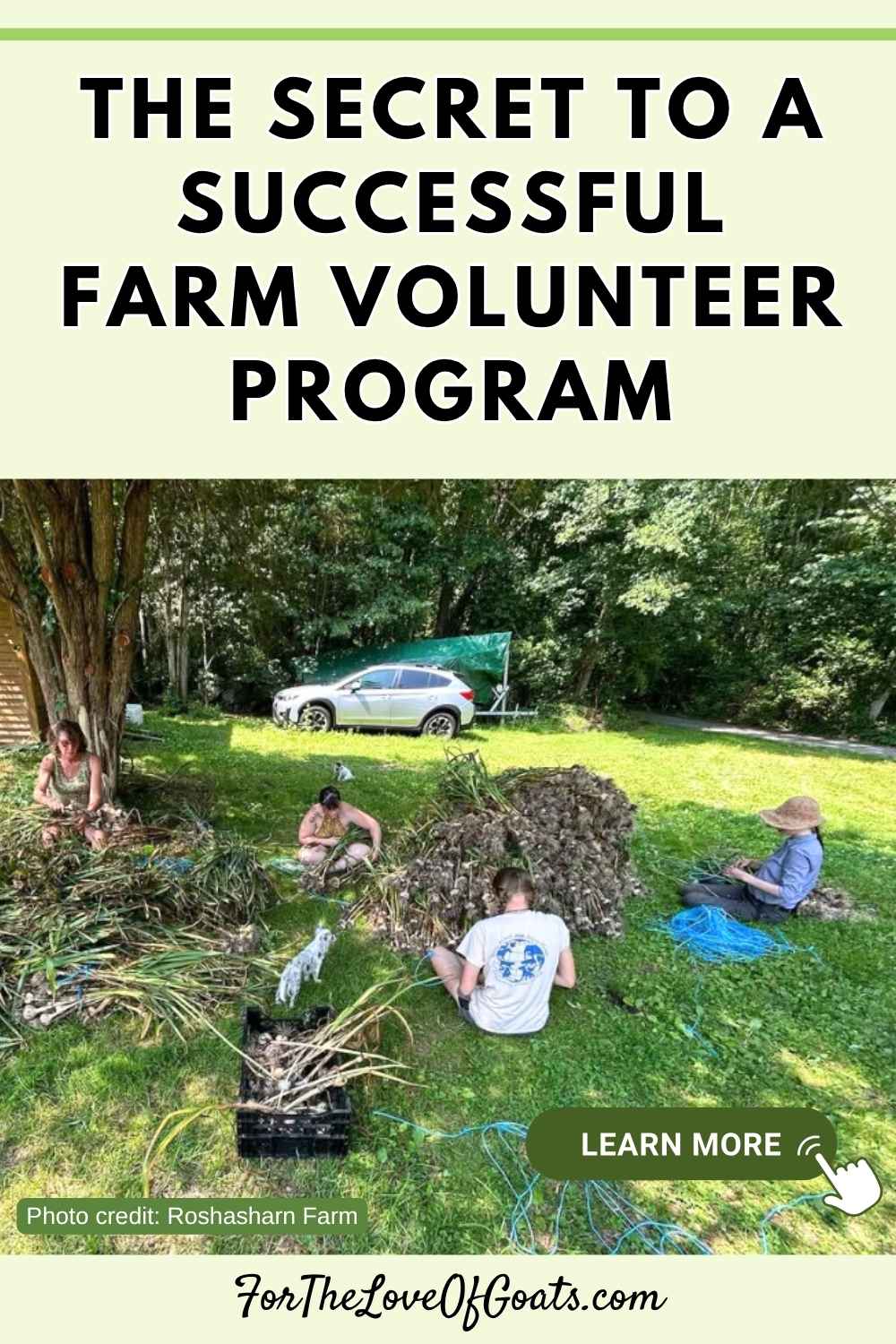 The Secret to a Successful Farm Volunteer Program