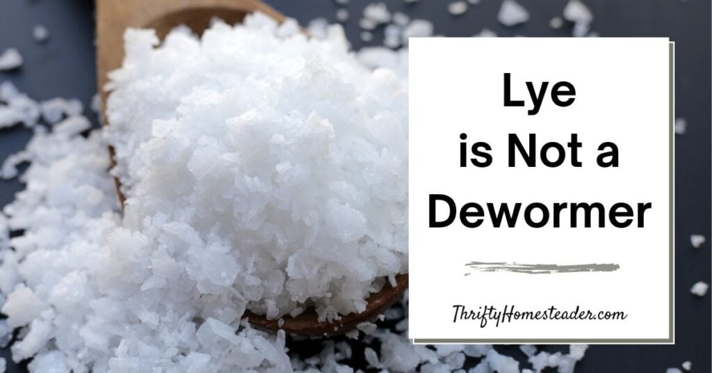 Lye Is Not a Dewormer featured image