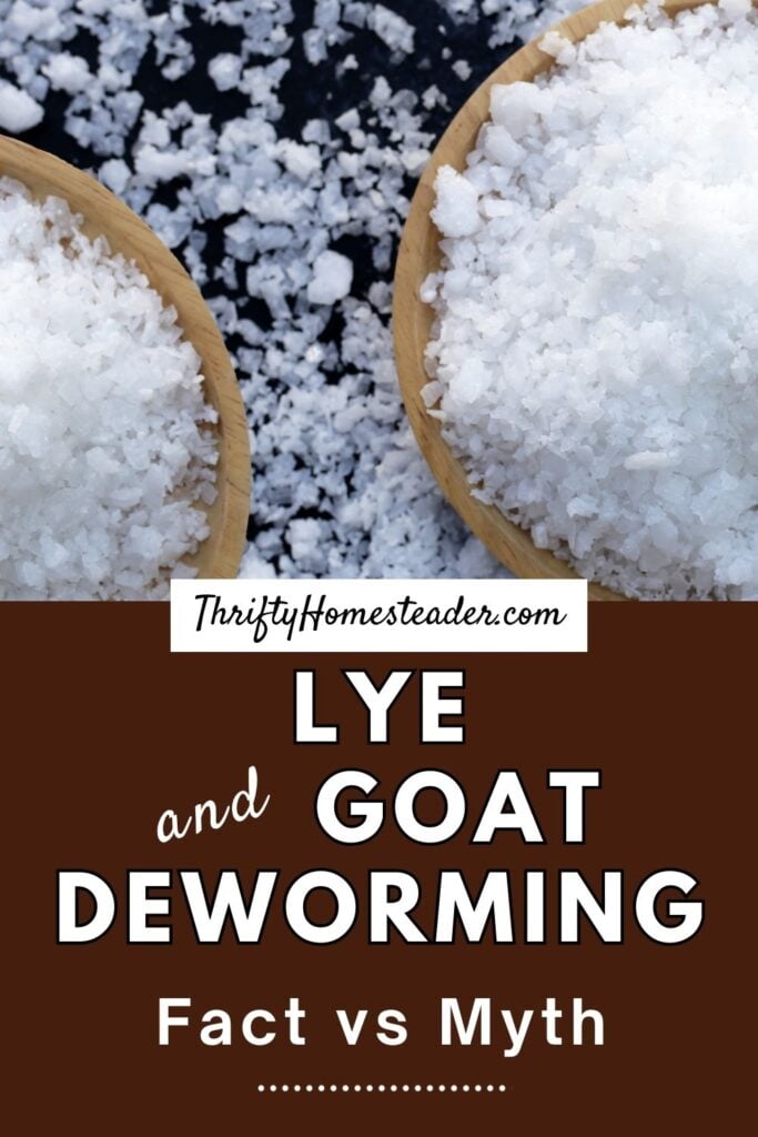 Lye and Goat Deworming: Fact vs Myth