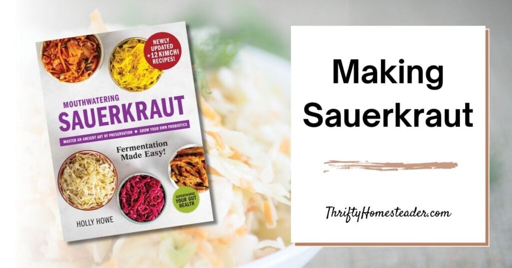 Making Sauerkraut featured image