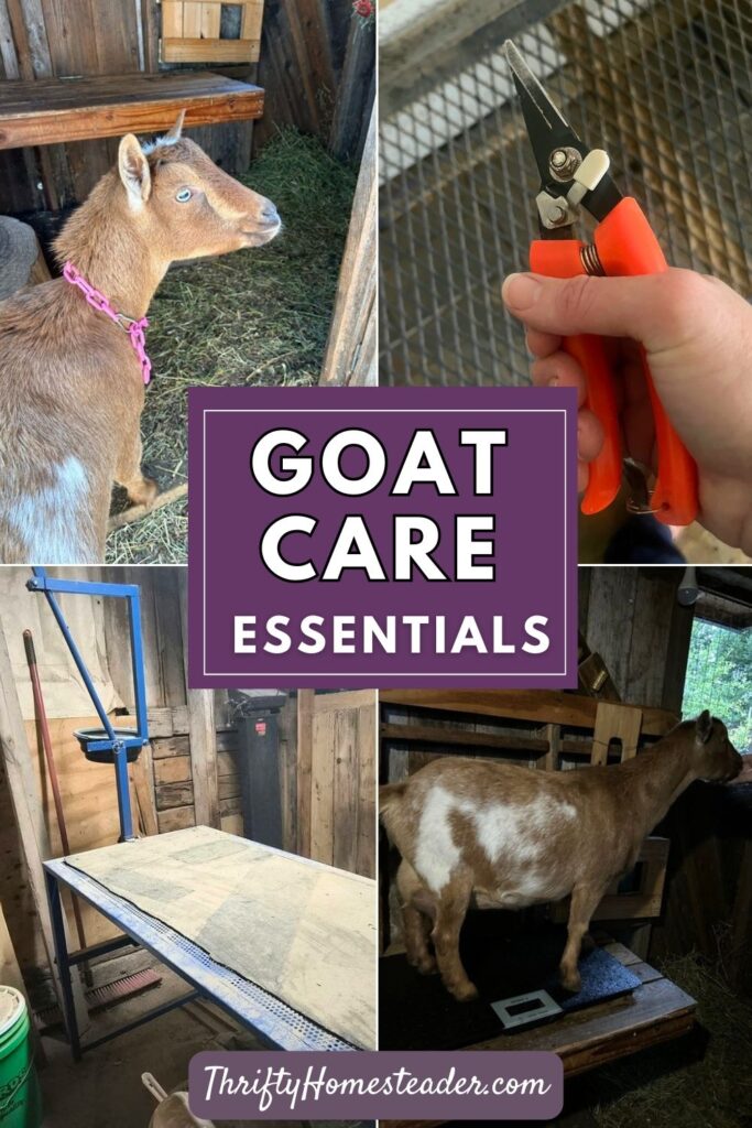 Goat Care Essentials