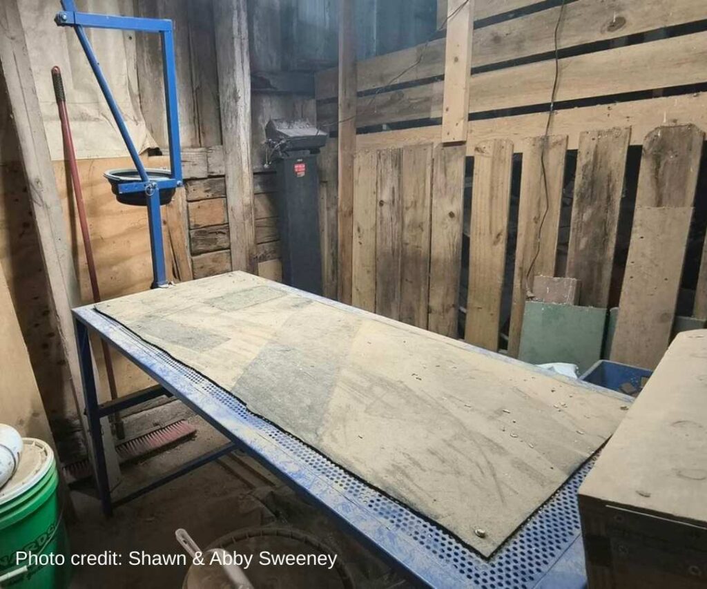 Goat Milking Stand_Shawn and Abby Sweeney