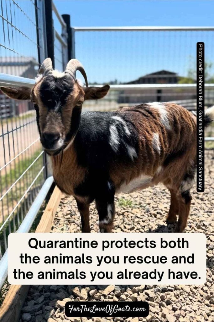 Quarantining animals