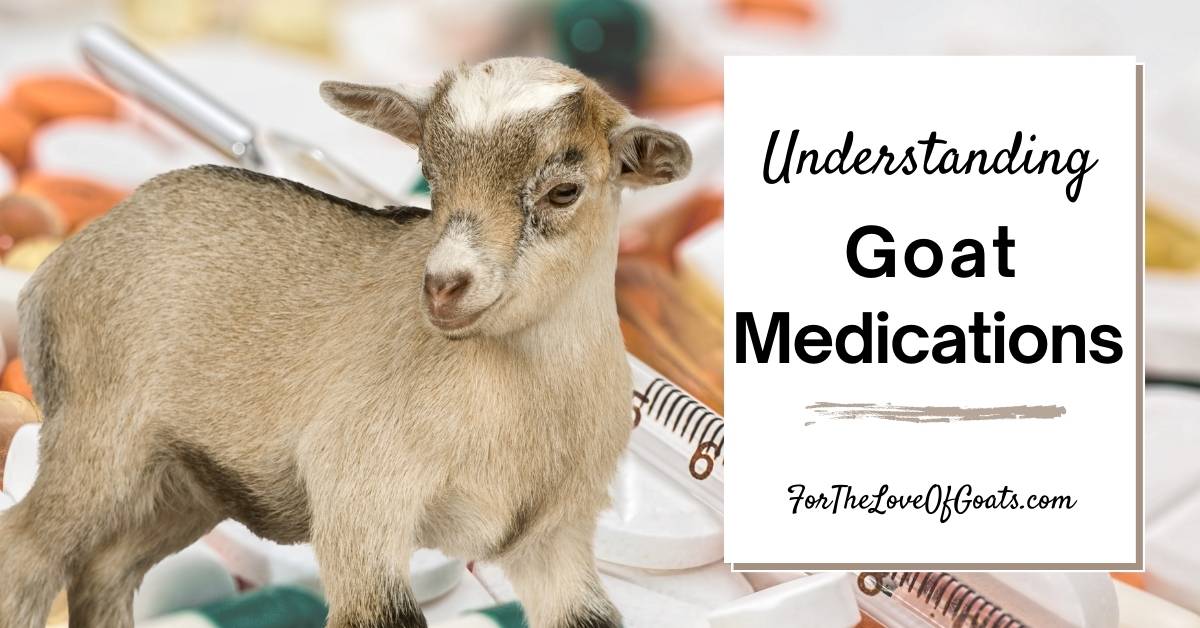 Understanding Goat Medications