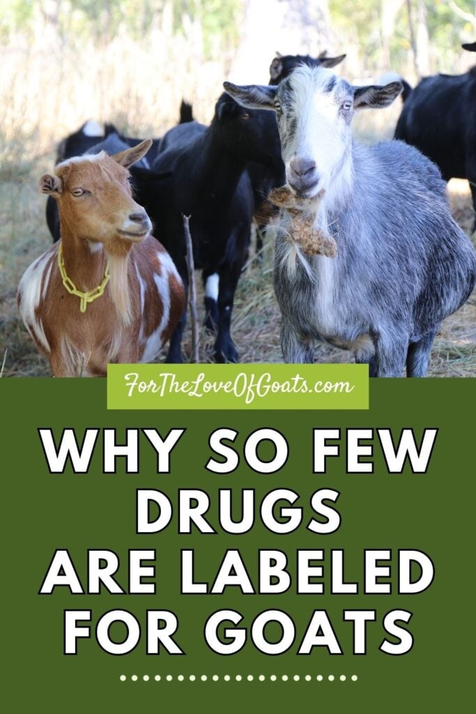 Why So few Drugs Are Labeled for Goats