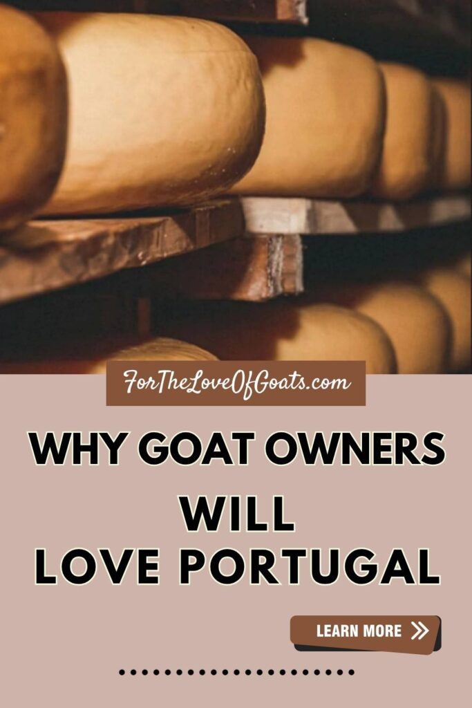 Why Goat Owners Will Love Portugal