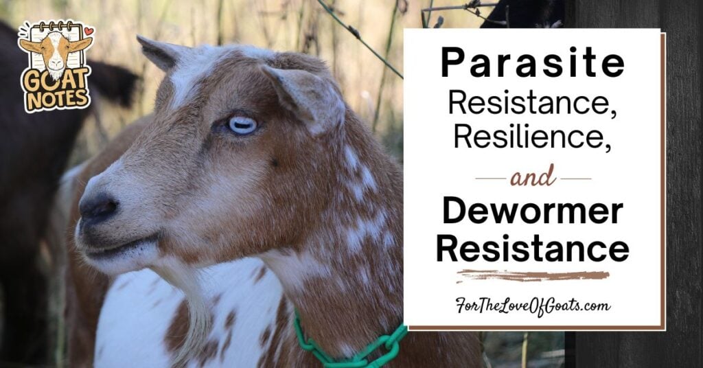 Parasite Resistance, Resilience, and Dewormer Resistance featured image