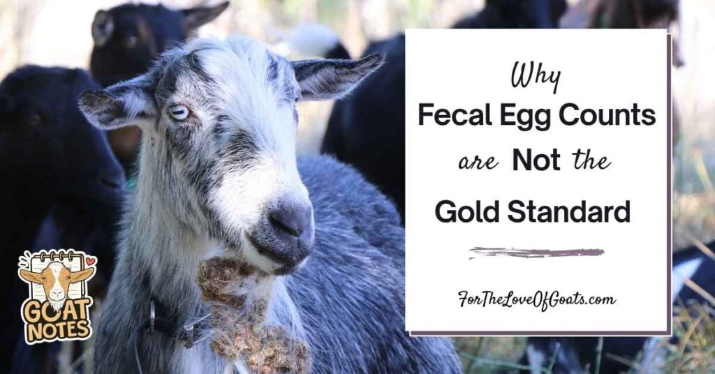Why Fecal Egg Counts are Not the Gold Standard