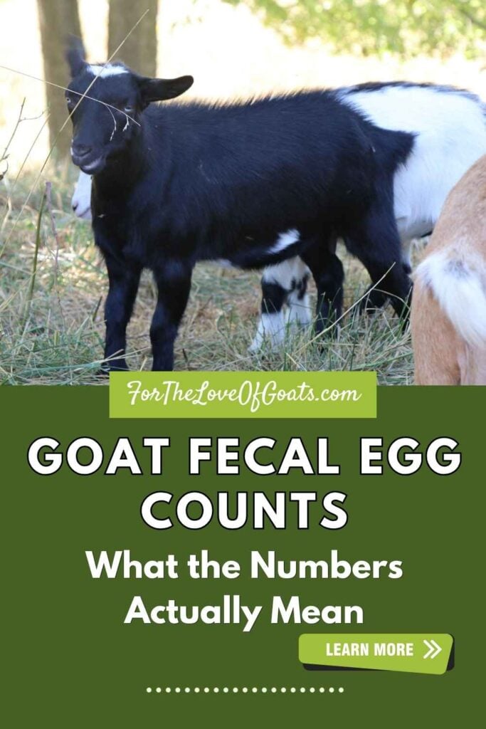 Why Fecal Egg Counts are Not the Gold Standard