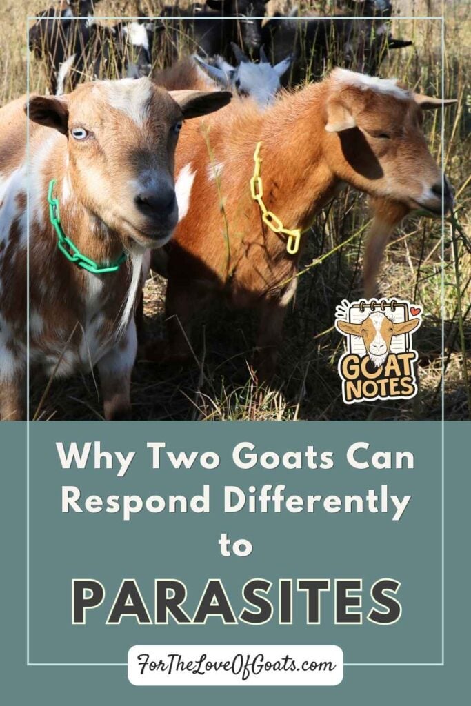 Why Two Goats Can Respond Differently to Parasites