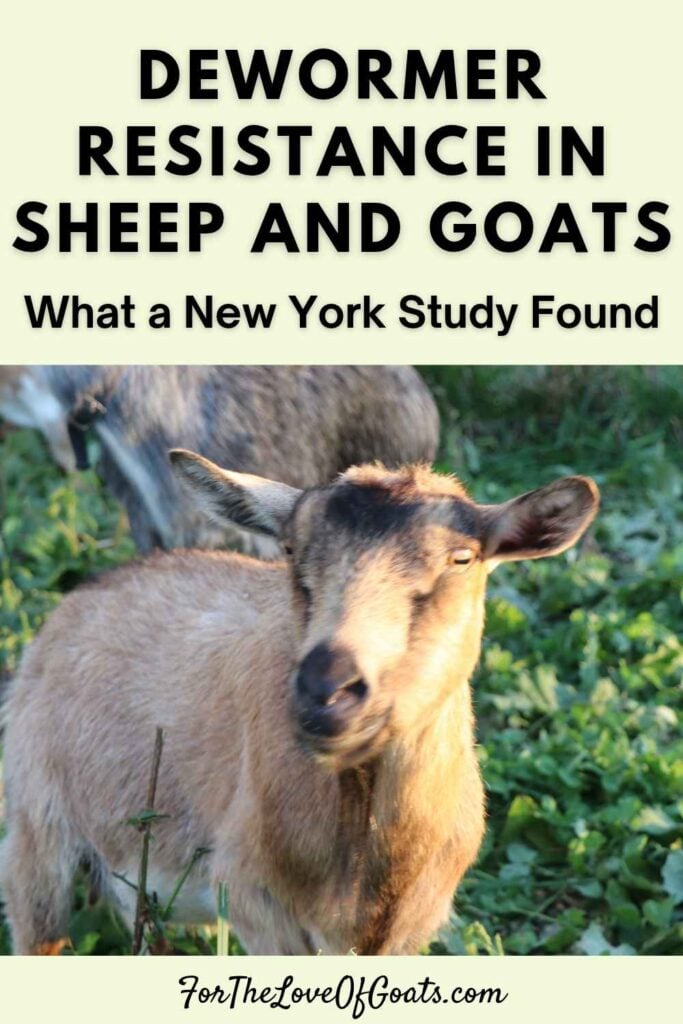 Dewormer Resistance in Sheep and Goats