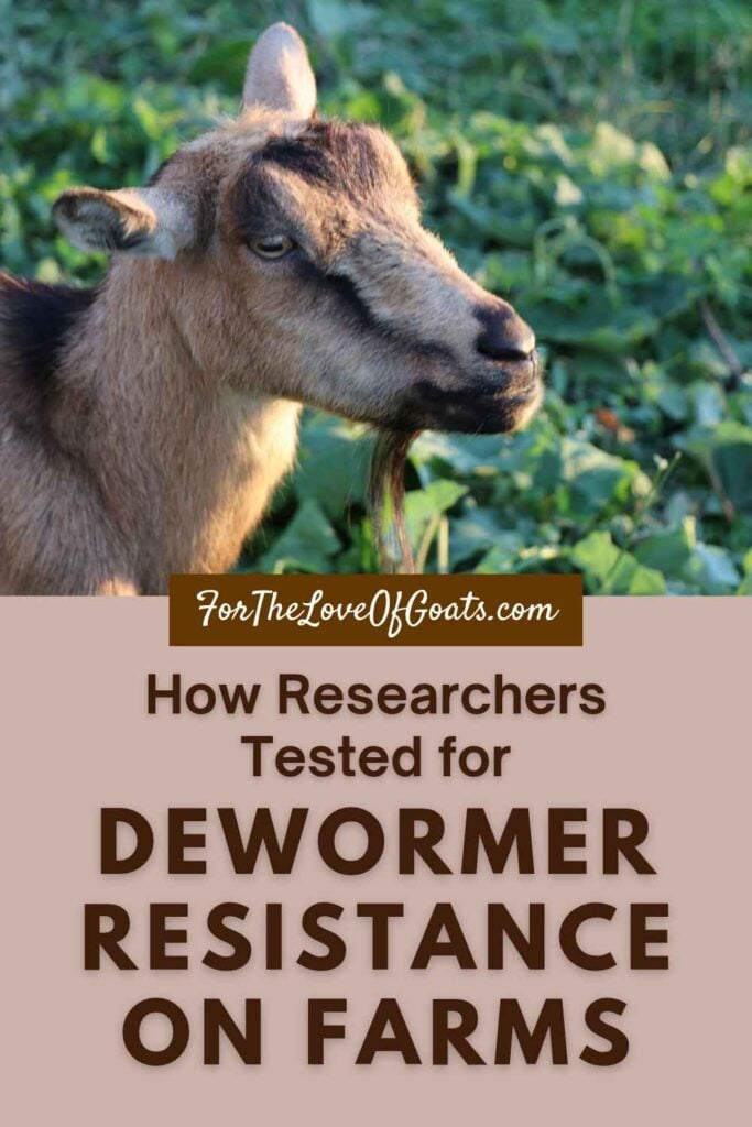 How Researchers Tested for Dewormer Resistance on Farms