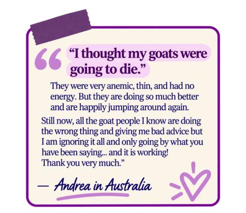 Andrea in Australia (1)