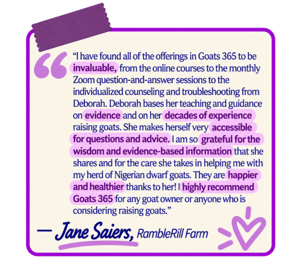 Jane Saiers, RambleRill Farm (1)